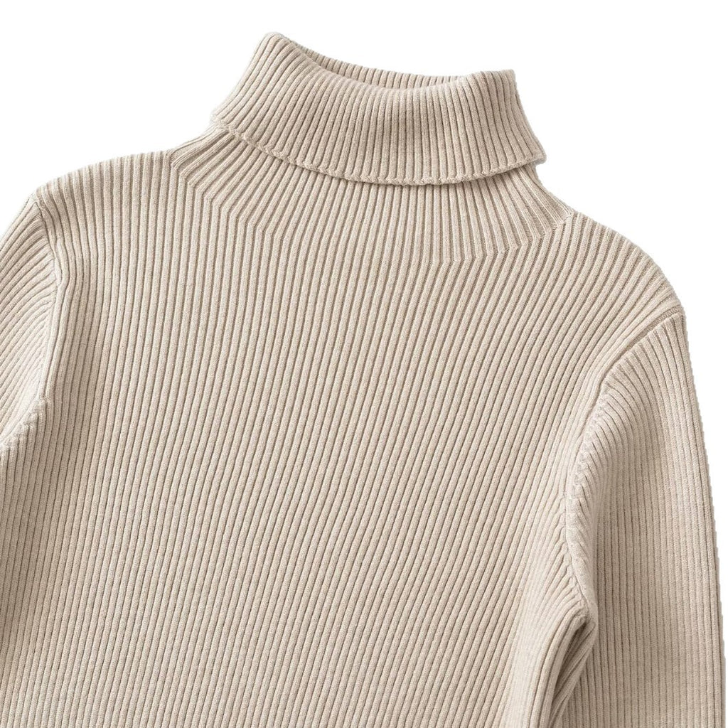 Fine Ribbed High Neck Slim Fit Knit Top