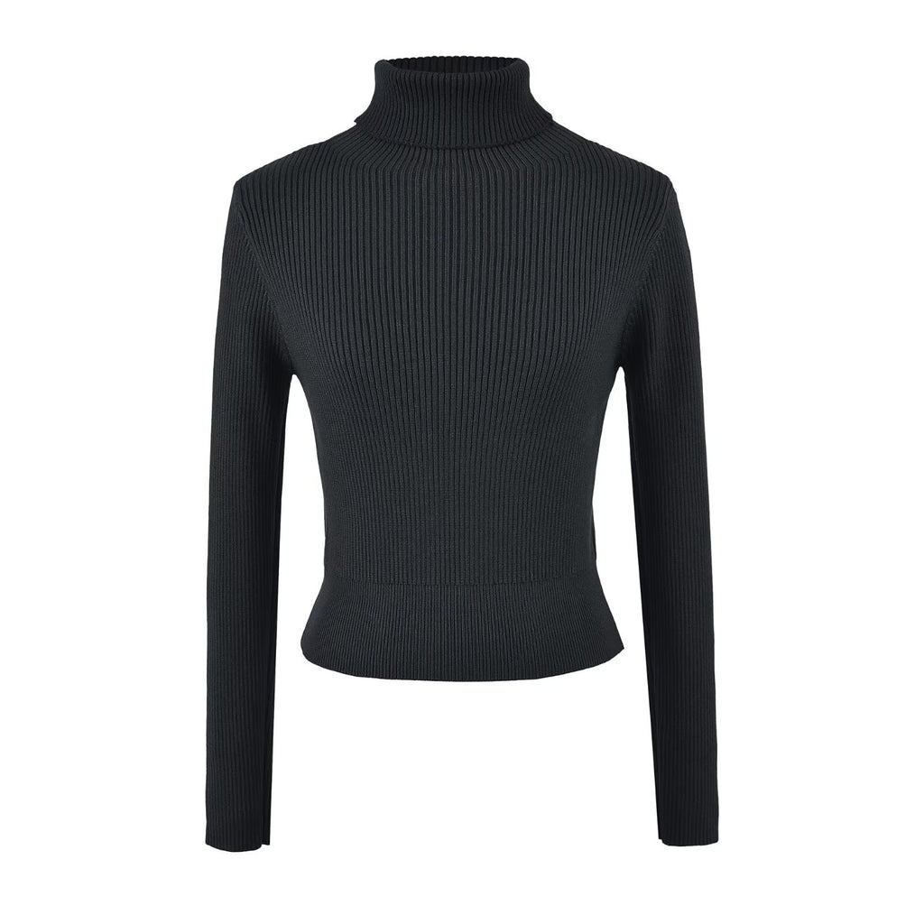 Fine Ribbed High Neck Slim Fit Knit Top