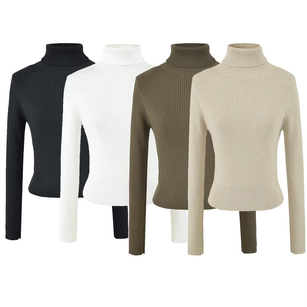 Fine Ribbed High Neck Slim Fit Knit Top