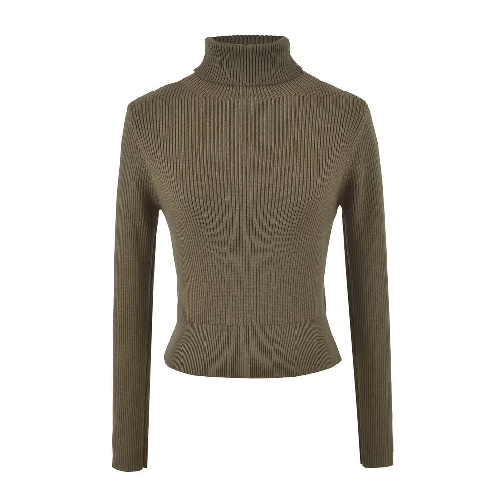 Fine Ribbed High Neck Slim Fit Knit Top