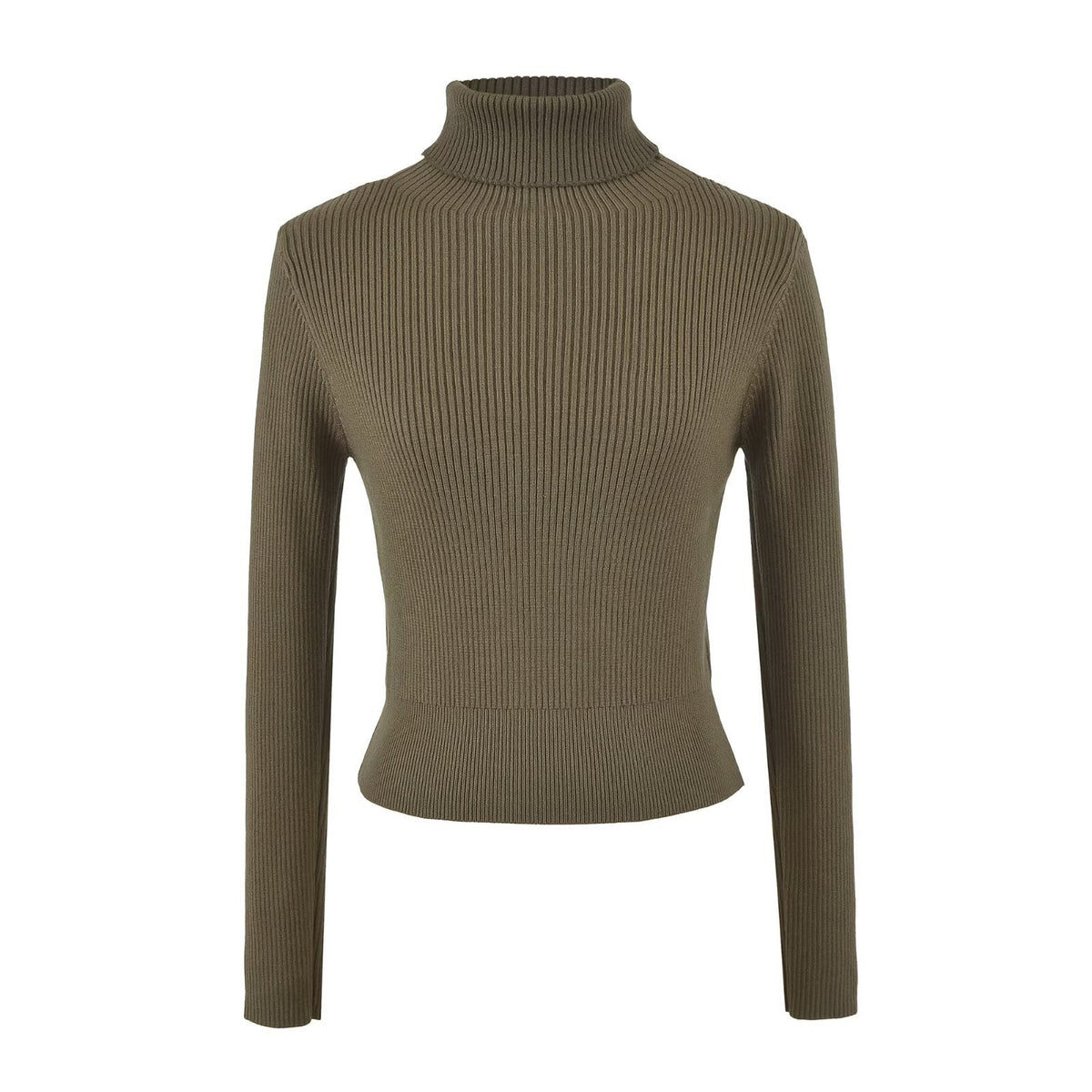 Fine Ribbed High Neck Slim Fit Knit Top