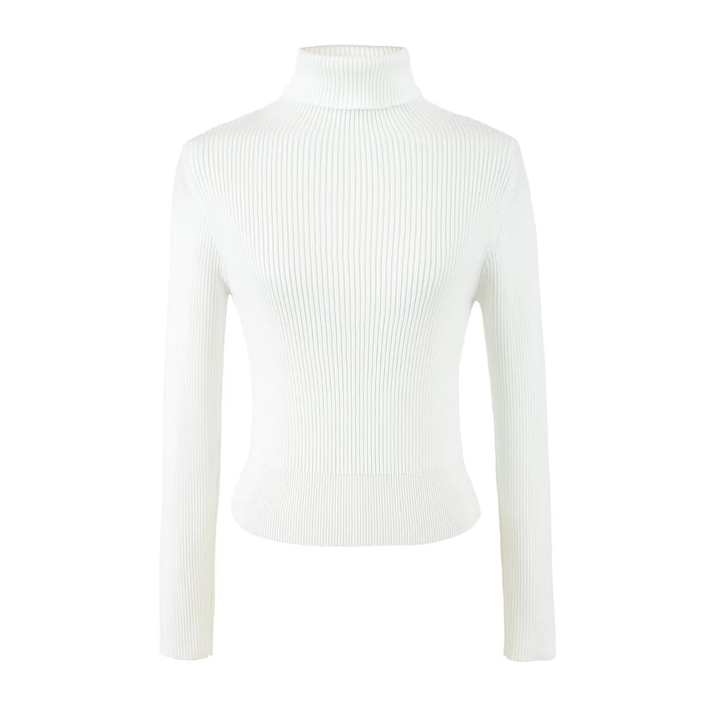 Fine Ribbed High Neck Slim Fit Knit Top