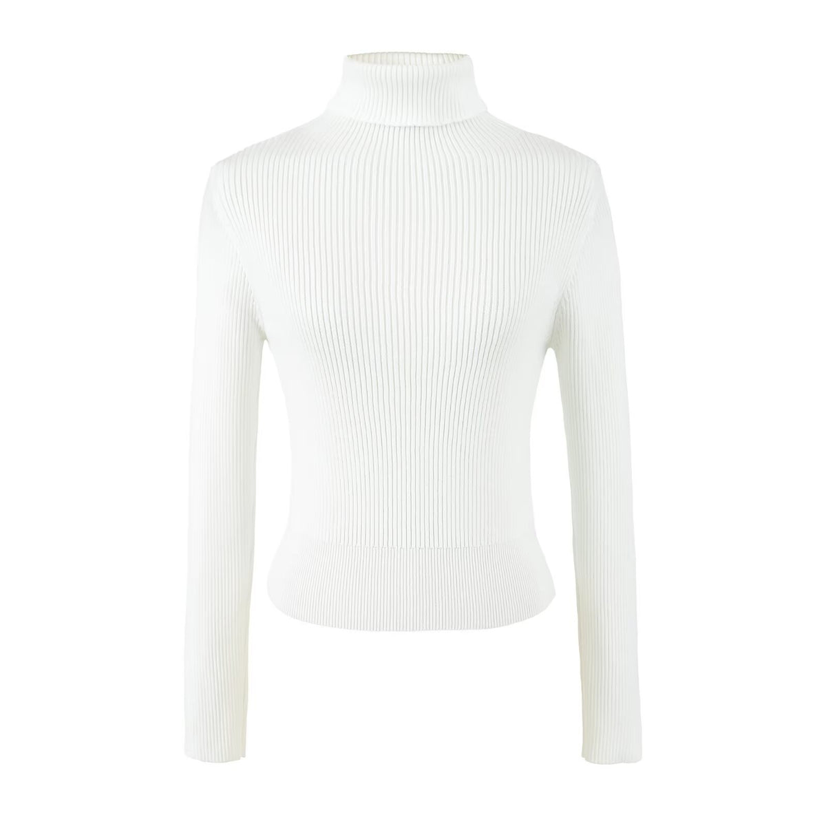 Fine Ribbed High Neck Slim Fit Knit Top